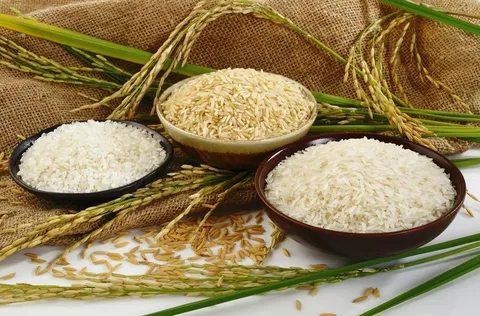 تصویر 4 از خرید برنج هاشمی درجه 1 + قیمت عالی باکیفیت